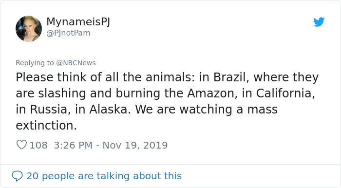 Woman Saves A Scorched And Screaming Koala With The Shirt Off Her Own Back Woman Saves A Scorched And Screaming Koala With The Shirt Off Her Own Back