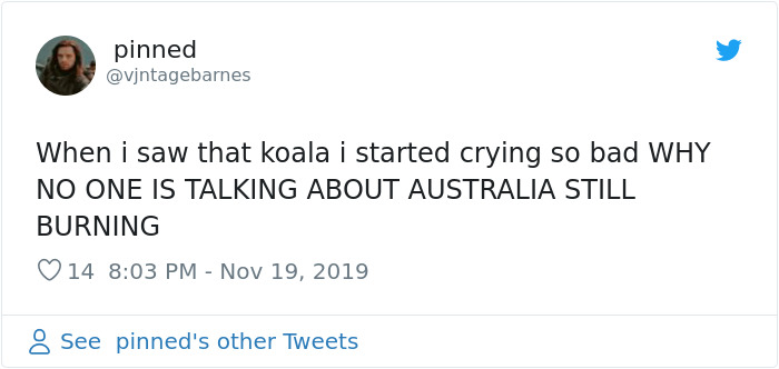 Woman Saves A Scorched And Screaming Koala With The Shirt Off Her Own Back