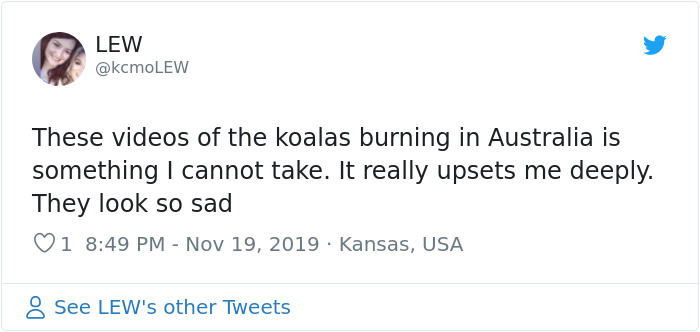 Woman Saves A Scorched And Screaming Koala With The Shirt Off Her Own Back