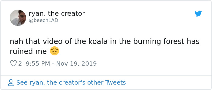 Woman Saves A Scorched And Screaming Koala With The Shirt Off Her Own Back Woman Saves A Scorched And Screaming Koala With The Shirt Off Her Own Back