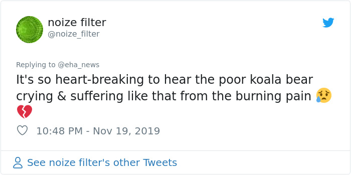 Woman Saves A Scorched And Screaming Koala With The Shirt Off Her Own Back Woman Saves A Scorched And Screaming Koala With The Shirt Off Her Own Back