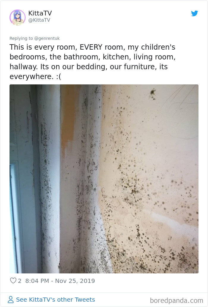 People-Share-Worst-Rent-Expierences-Vent-Your-Rent