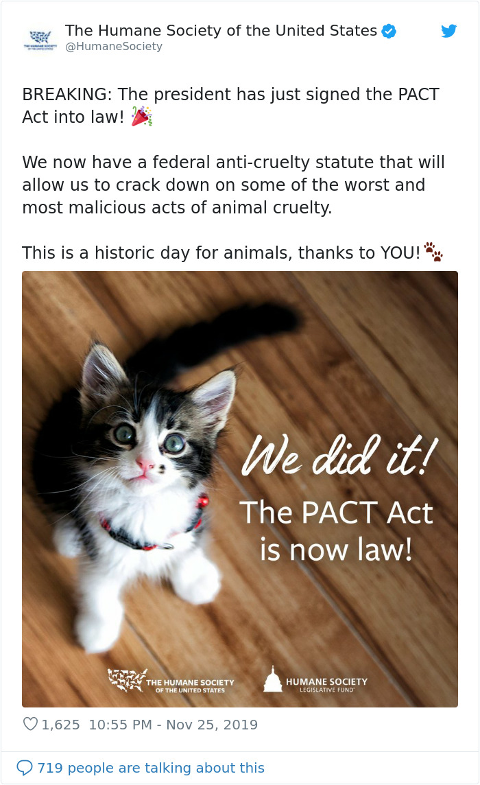 Animal Cruelty Is Now Officially A Nationwide Felony In The USA Animal Cruelty Is Now Officially A Nationwide Felony In The USA