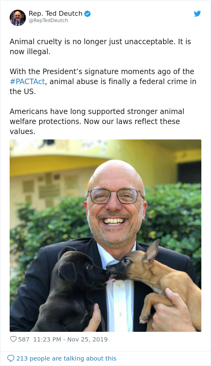 Animal Cruelty Is Now Officially A Nationwide Felony In The USA