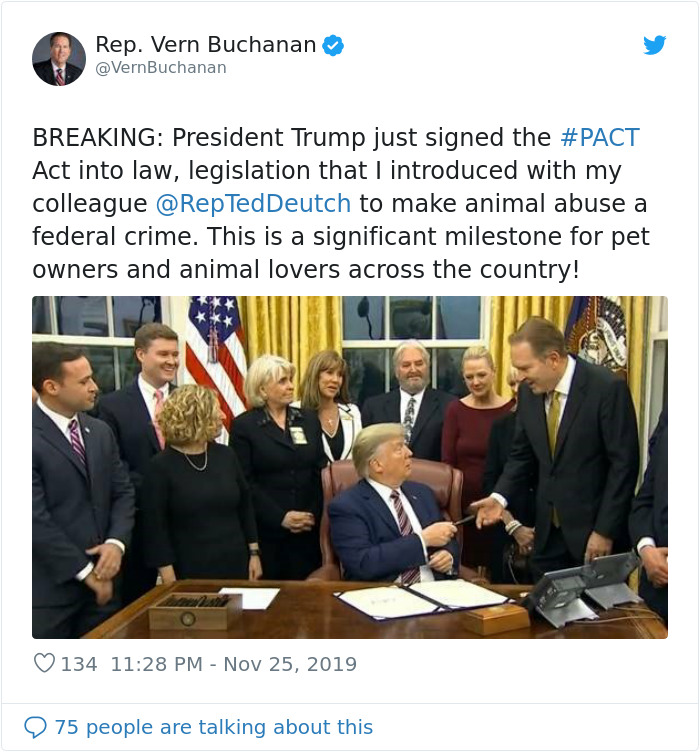 Animal Cruelty Is Now Officially A Nationwide Felony In The USA Animal Cruelty Is Now Officially A Nationwide Felony In The USA