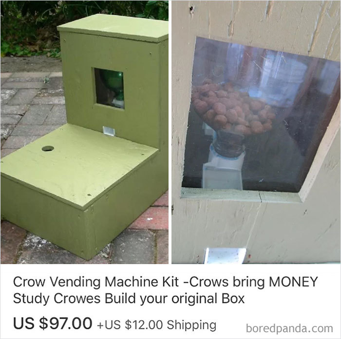 Funny-Weird-Ebay-Listings-Ebaybae