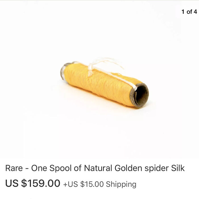 Funny-Weird-Ebay-Listings-Ebaybae