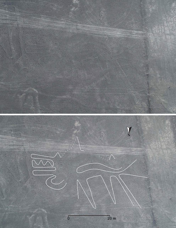 Team Of Scientists Discovered 140 Huge Mysterious Drawings In Peru 