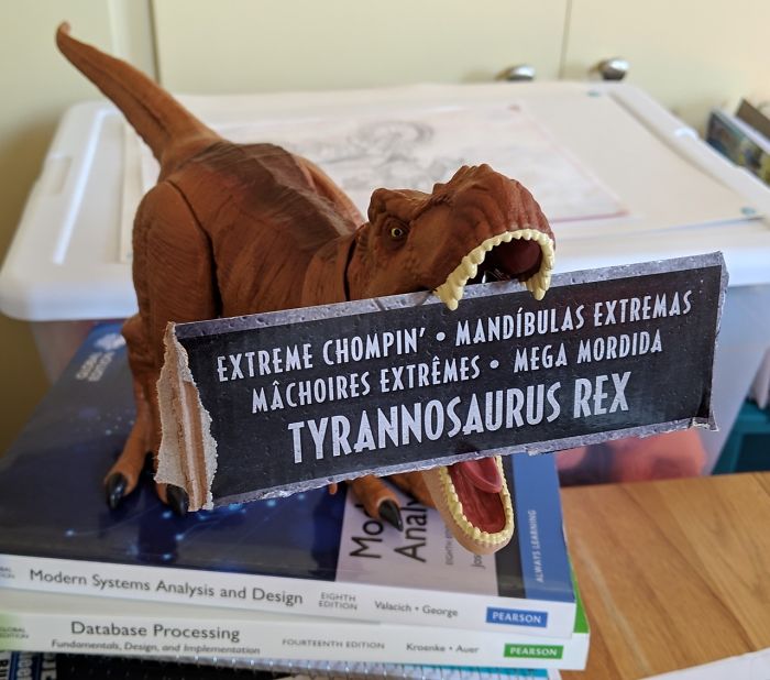Mom Didn't Let Her Kid Buy A T-Rex Because It's 'Too Violent', They Buy One When They Grow Up And The Pics Are Hilarious Mom Didn't Let Her Kid Buy A T-Rex Because It's 'Too Violent', They Buy One When They Grow Up And The Pics Are Hilarious