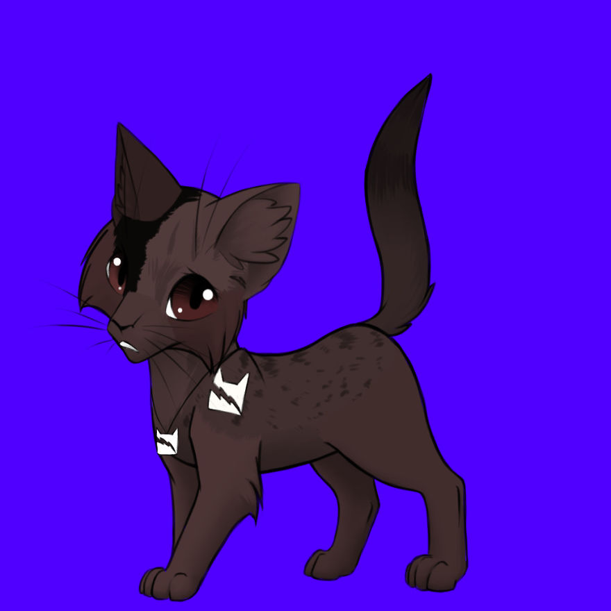 Blakewisker X Junipertai = Doekit, Longkit, Reedkit And Grasskit