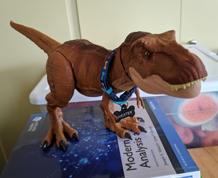 Mom Didn't Let Her Kid Buy A T-Rex Because It's 'Too Violent', They Buy One When They Grow Up And The Pics Are Hilarious Mom Didn't Let Her Kid Buy A T-Rex Because It's 'Too Violent', They Buy One When They Grow Up And The Pics Are Hilarious