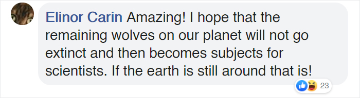 Scientists Are Baffled By An 18,000-Year-Old 'Wolf-Dog' Puppy Found Frozen In Siberia Scientists Are Baffled By An 18,000-Year-Old 'Wolf-Dog' Puppy Found Frozen In Siberia