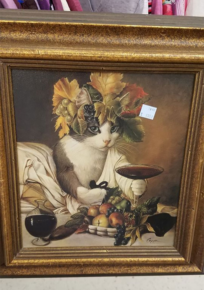 For The Classy Crazy Cat Ladies Out There. Melinda Copper Is The Artist And There Are Prints Available Online!