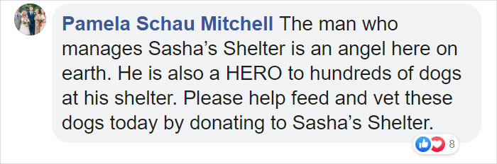 Guy Takes In Pups That No One Wants, Runs A Shelter With 750 Dogs Guy Takes In Pups That No One Wants, Runs A Shelter With 750 Dogs