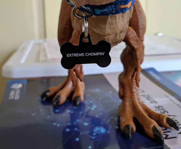 Mom Didn't Let Her Kid Buy A T-Rex Because It's 'Too Violent', They Buy One When They Grow Up And The Pics Are Hilarious Mom Didn't Let Her Kid Buy A T-Rex Because It's 'Too Violent', They Buy One When They Grow Up And The Pics Are Hilarious