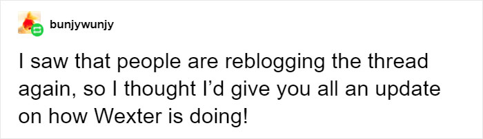 Mom Didn't Let Her Kid Buy A T-Rex Because It's 'Too Violent', They Buy One When They Grow Up And The Pics Are Hilarious