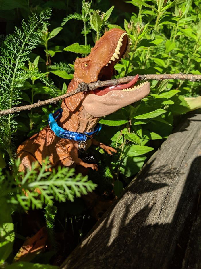 Mom Didn't Let Her Kid Buy A T-Rex Because It's 'Too Violent', They Buy One When They Grow Up And The Pics Are Hilarious