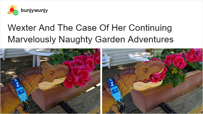 Mom Didn't Let Her Kid Buy A T-Rex Because It's 'Too Violent', They Buy One When They Grow Up And The Pics Are Hilarious Mom Didn't Let Her Kid Buy A T-Rex Because It's 'Too Violent', They Buy One When They Grow Up And The Pics Are Hilarious