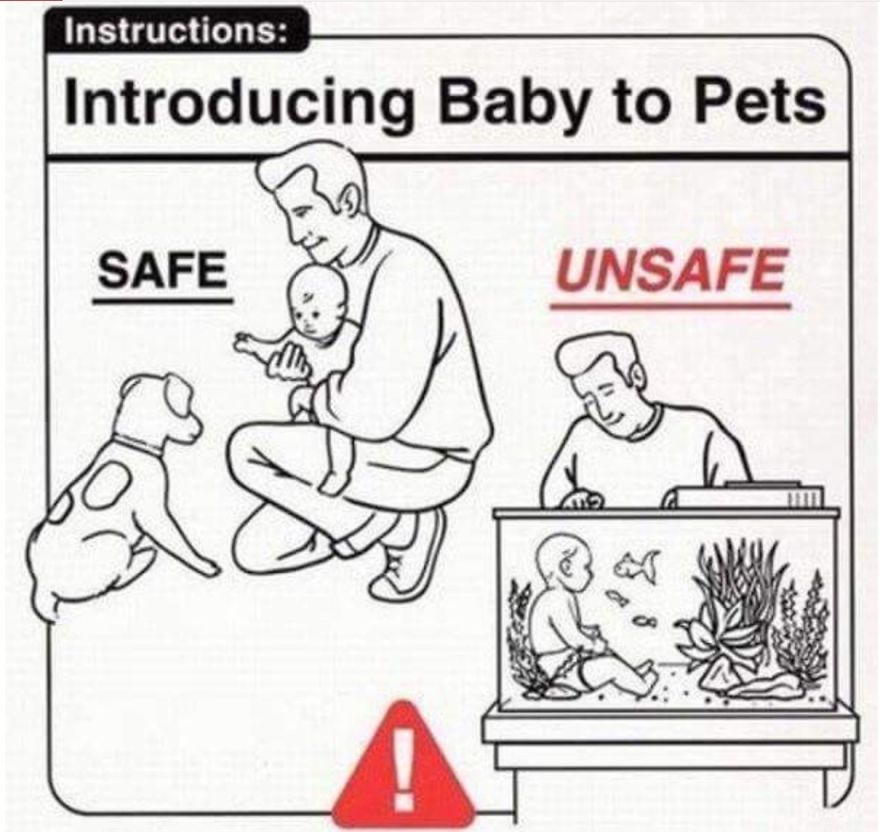 How To Look After A Baby (Funny Pics)