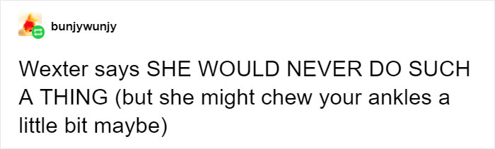 Mom Didn't Let Her Kid Buy A T-Rex Because It's 'Too Violent', They Buy One When They Grow Up And The Pics Are Hilarious Mom Didn't Let Her Kid Buy A T-Rex Because It's 'Too Violent', They Buy One When They Grow Up And The Pics Are Hilarious