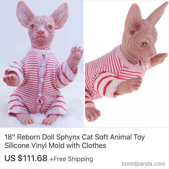 Funny-Weird-Ebay-Listings-Ebaybae