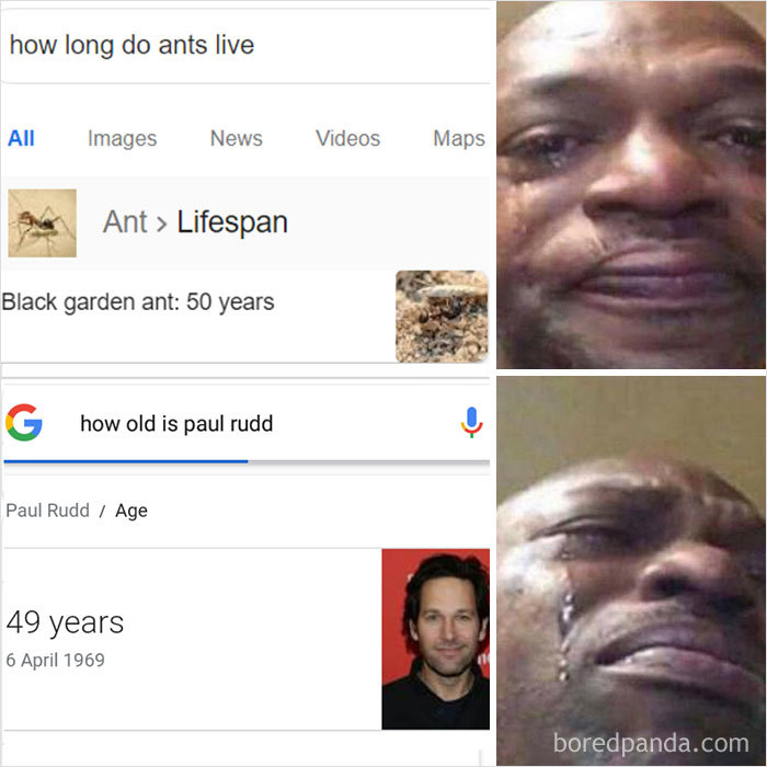 Paul-Rudd-Wholesome-Funny-Memes-Tweets