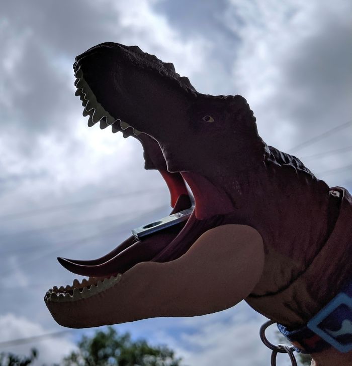 Mom Didn't Let Her Kid Buy A T-Rex Because It's 'Too Violent', They Buy One When They Grow Up And The Pics Are Hilarious