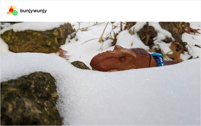 Mom Didn't Let Her Kid Buy A T-Rex Because It's 'Too Violent', They Buy One When They Grow Up And The Pics Are Hilarious