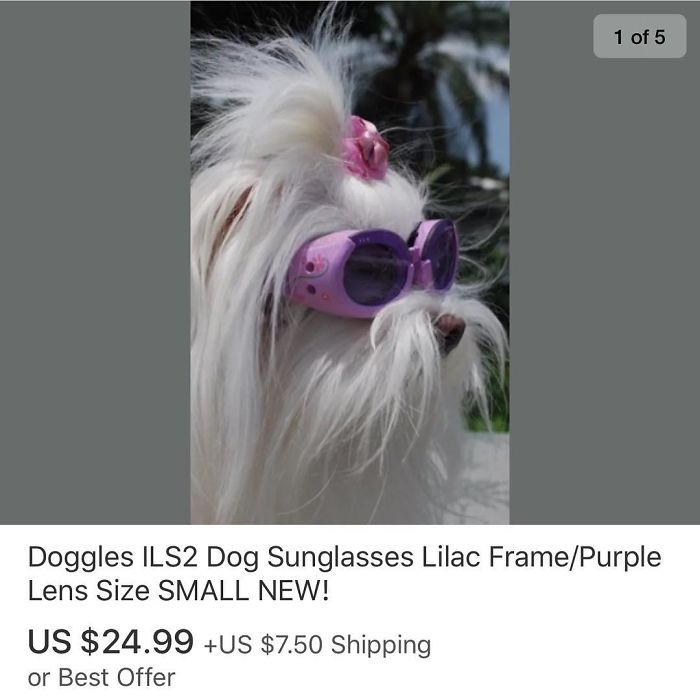 Funny-Weird-Ebay-Listings-Ebaybae