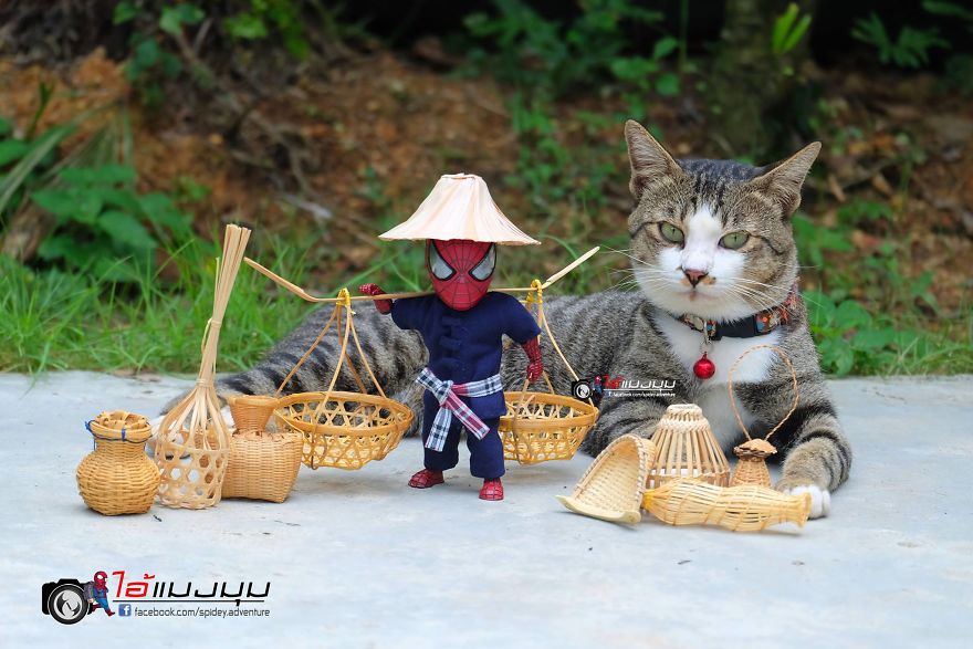 See The Adventures Of A Mini Spiderman With Lovely Cats Created By A Thai Artist
