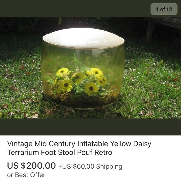 Funny-Weird-Ebay-Listings-Ebaybae