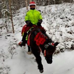 lahtinenminna avatar