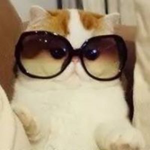 emmanuel_tanguy avatar