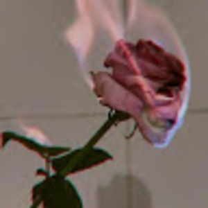 psyyykhebrady avatar