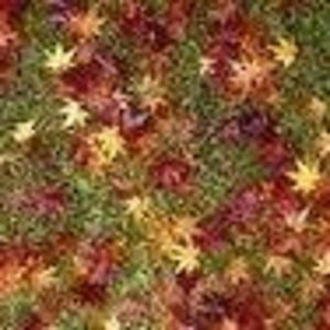 blueislandbobsue avatar