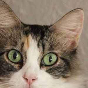 yvonnedanielrn avatar