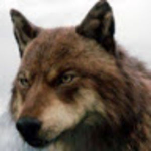 karinabecerril avatar