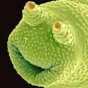 danny64verhamme avatar