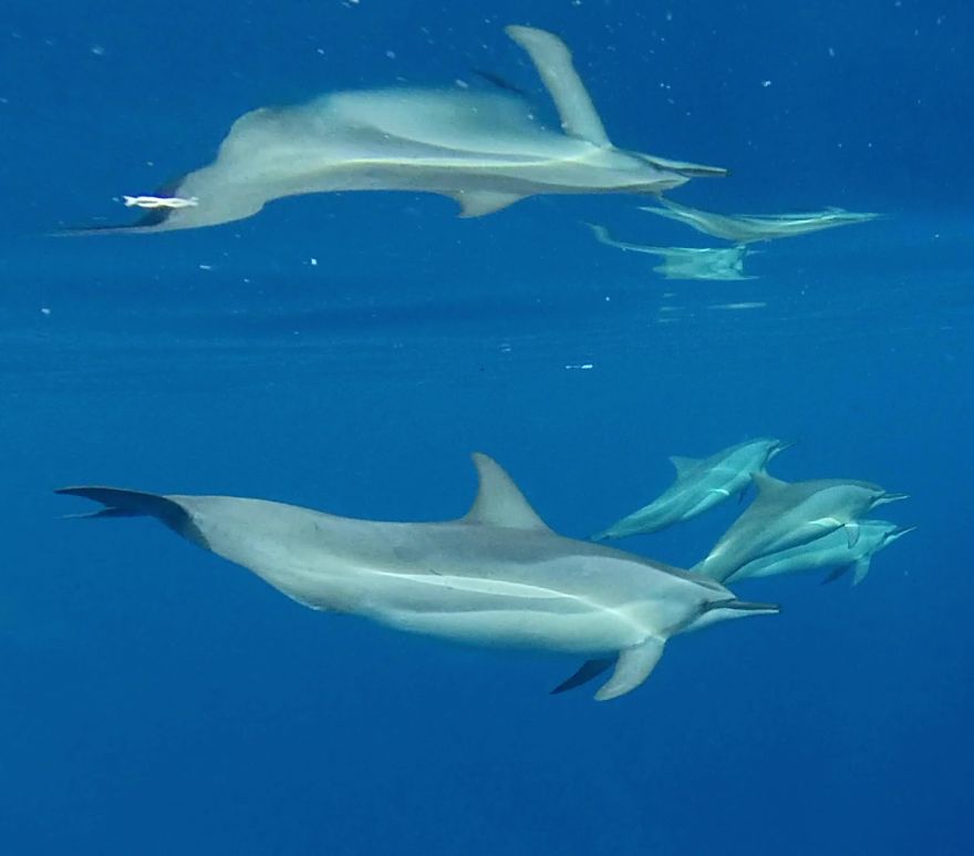 Welcome To The 'Perfume Islands,' One Of The Most Beautiful Yet Least Visited Countries In The World