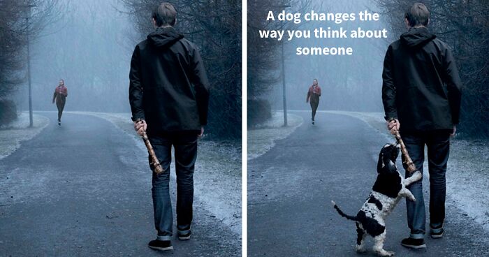 Ad Campaigns Tell How A Dog Can Transform A Person’s Life (16 Pics)
