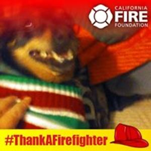 deborah_ahern avatar