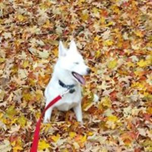 lulawatchthesun avatar