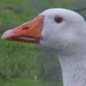 kerrialbertson avatar