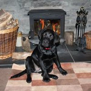 emilyduncan31 avatar