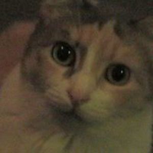 susan1971matthiesen avatar