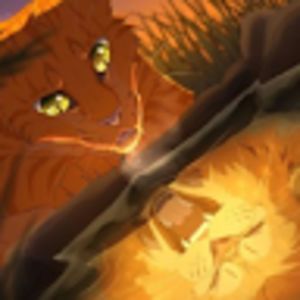 bradenhammers avatar