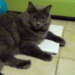 eleanorarchibald avatar