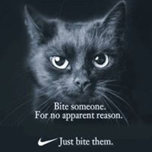 cissie1955_cw avatar