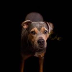 kendragarcia4515 avatar