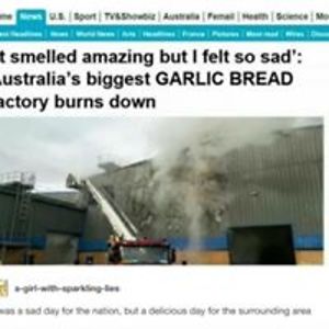 traceyjams_au avatar